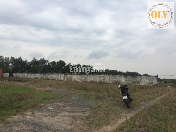 BÁN ĐẤT XÂY DỰNG NHÀ XƯỞNG – GÒ DẦU, TÂY NINH – 36.176m²