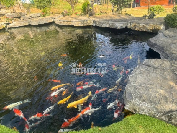 CƠ HỘI ĐẦU TƯ RESORT TÂM AN 999 – QUY MÔ LỚN 1,7HA – MỘC CHÂU