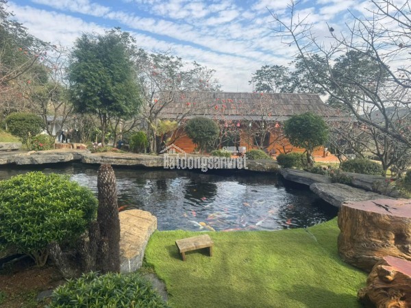 CƠ HỘI ĐẦU TƯ RESORT TÂM AN 999 – QUY MÔ LỚN 1,7HA – MỘC CHÂU