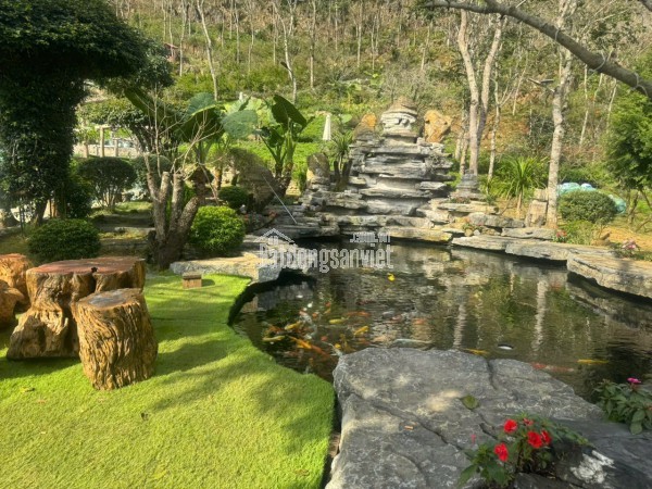 CƠ HỘI ĐẦU TƯ RESORT TÂM AN 999 – QUY MÔ LỚN 1,7HA – MỘC CHÂU