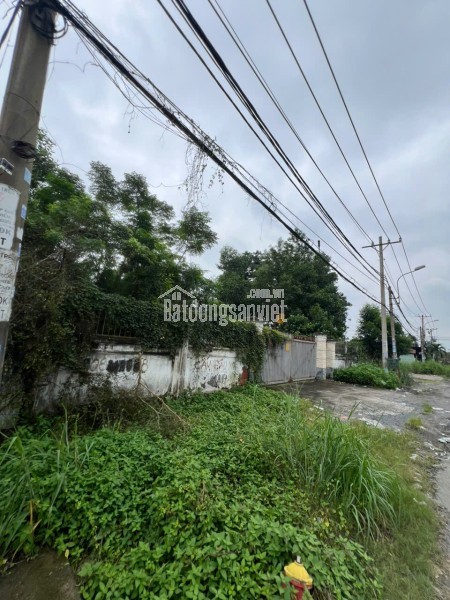 BÁN GẤP KHU ĐẤT MẶT TIỀN ĐẸP NGUYỄN ĐÌNH KIÊN, P. TÂN TẠO A, BÌNH TÂN