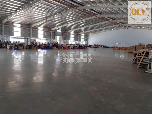 BÁN NHÀ XƯỞNG – KCN THÀNH THÀNH CÔNG, TRẢNG BÀNG, TÂY NINH – 8.528m²