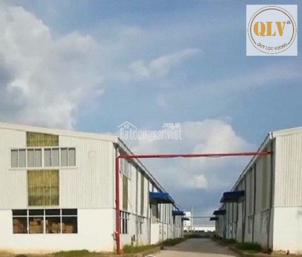 BÁN NHÀ XƯỞNG – KCN THÀNH THÀNH CÔNG, TRẢNG BÀNG, TÂY NINH – 8.528m²