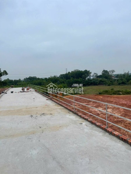 🔥 BẢNG HÀNG F0 TRUNG GIÃ – GIÁ CHỈ TỪ HƠN 700 TRIỆU/LÔ 🔥