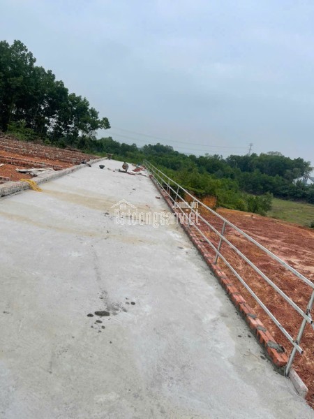 🔥 BẢNG HÀNG F0 TRUNG GIÃ – GIÁ CHỈ TỪ HƠN 700 TRIỆU/LÔ 🔥