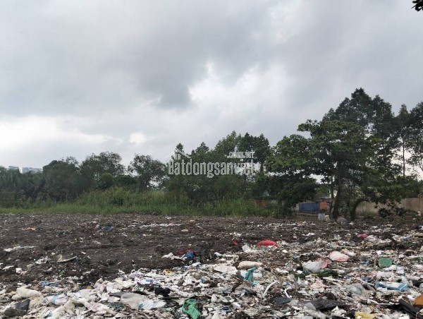 Cực hiếm! 6790m2 Đất No Đường  Đào Trí, Phú Thuận  Q7 HCM, Chỉ 160 Tỷ