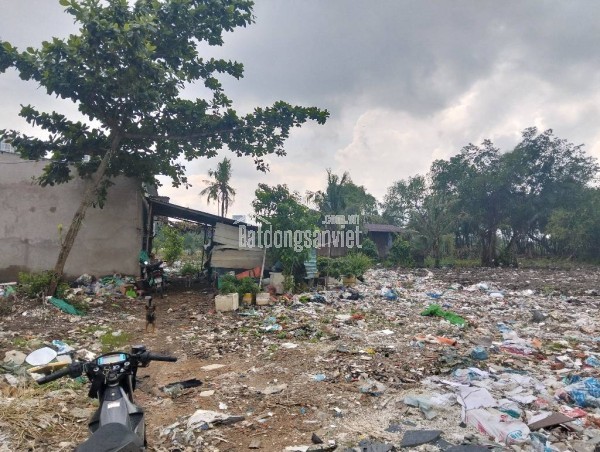 Cực hiếm! 6790m2 Đất No Đường  Đào Trí, Phú Thuận  Q7 HCM, Chỉ 160 Tỷ