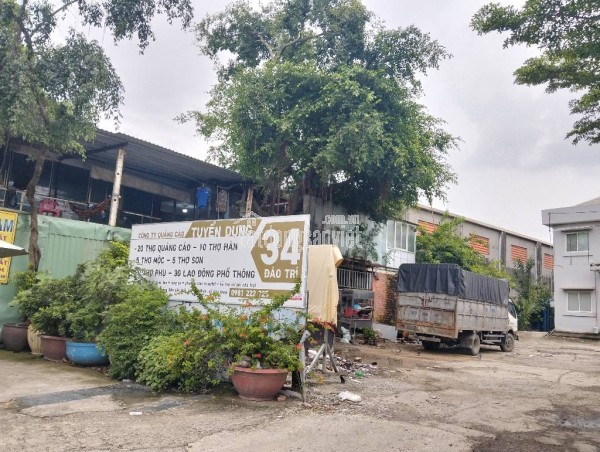 Cực hiếm! 6790m2 Đất No Đường  Đào Trí, Phú Thuận  Q7 HCM, Chỉ 160 Tỷ