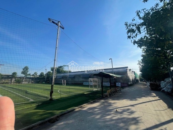 Cần Bán 7160m2 Đất CLN- Xuân Thới Sơn- Hóc Môn-Dòng Tiền 55tr/th Chỉ 48 Tỷ