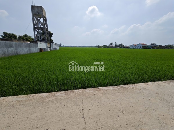 Bán lô đất lúa chuyển thổ mặt tiền DH25 giá 6 tỷ