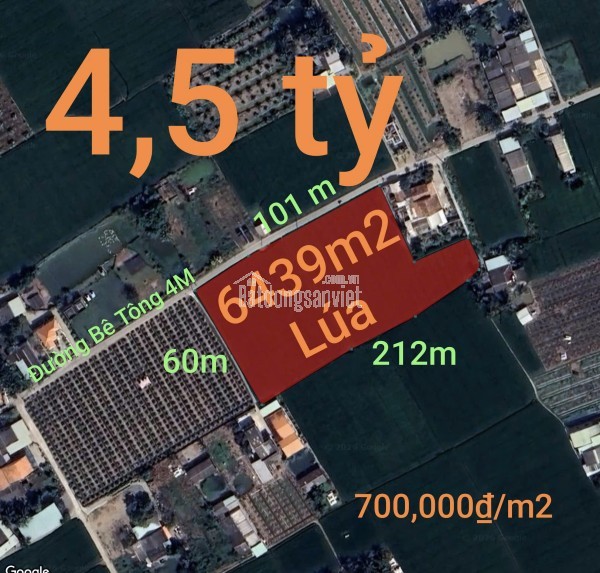Bán lô đất lúa chuyển thổ mặt tiền DH25 giá 6 tỷ