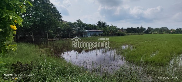 Bán lô đất lúa chuyển thổ mặt tiền DH25 giá 6 tỷ