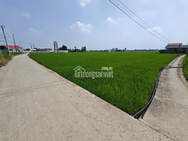 Bán lô đất lúa chuyển thổ mặt tiền DH25 giá 6 tỷ