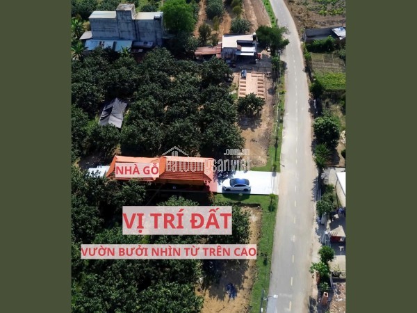 Đất thổ cư có sẵn vườn bưởi – mặt tiền kinh doanh chỉ 950 triệu