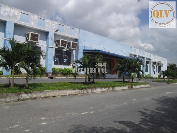 CHO THUÊ NHÀ XƯỞNG – DĨ AN, BÌNH DƯƠNG – 105.559m²