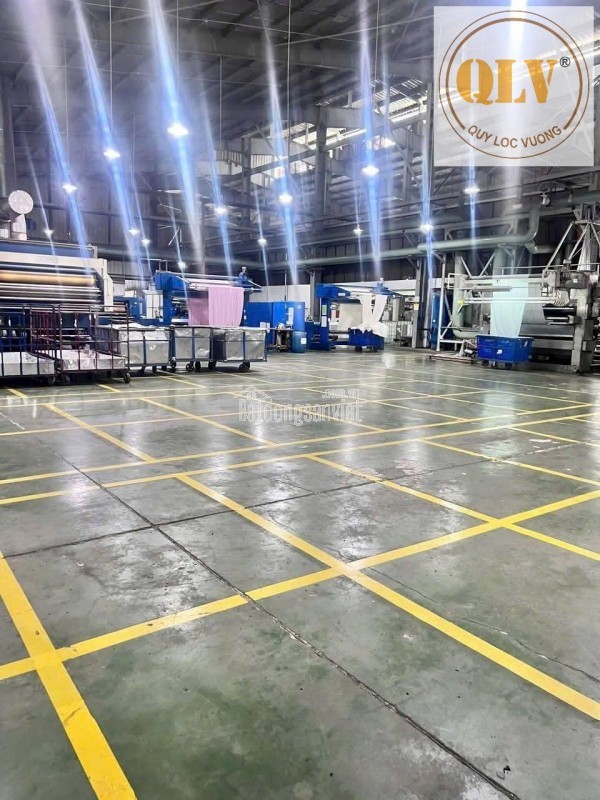 BÁN / CHO THUÊ NHÀ XƯỞNG – KCN MỸ PHƯỚC, BẾN CÁT, BÌNH DƯƠNG – 183.200m²