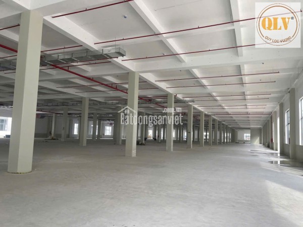 CHO THUÊ NHÀ XƯỞNG – KCN BÀU BÀNG, BÌNH DƯƠNG – 52.815m²