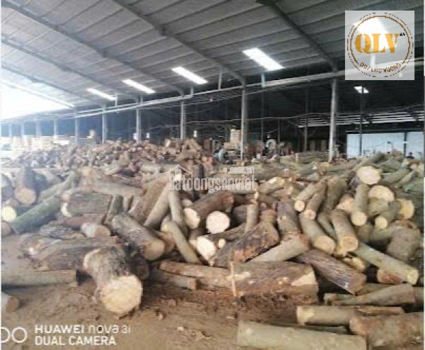 CHO THUÊ  XƯỞNG GỖ -  TÂN PHÚ,  ĐỒNG PHÚ, BP – 14.000m²