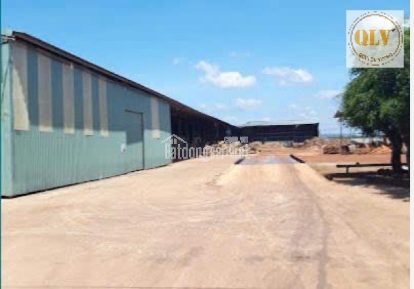 CHO THUÊ  XƯỞNG GỖ -  TÂN PHÚ,  ĐỒNG PHÚ, BP – 14.000m²