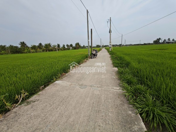 Bán lô đất lúa 4 mặt tiền chuyển thổ phân lô giá chốt 5 tỷ