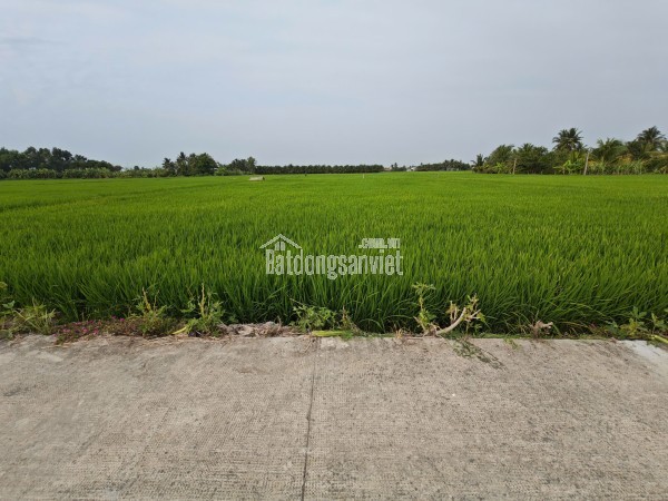 Bán lô đất lúa 4 mặt tiền chuyển thổ phân lô giá chốt 5 tỷ