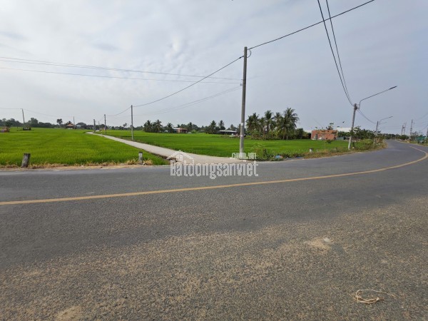 Bán lô đất lúa 4 mặt tiền chuyển thổ phân lô giá chốt 5 tỷ