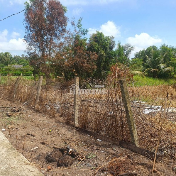 Bán lô đất lúa 4 mặt tiền chuyển thổ phân lô giá chốt 5 tỷ