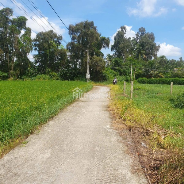 Bán lô đất lúa 4 mặt tiền chuyển thổ phân lô giá chốt 5 tỷ