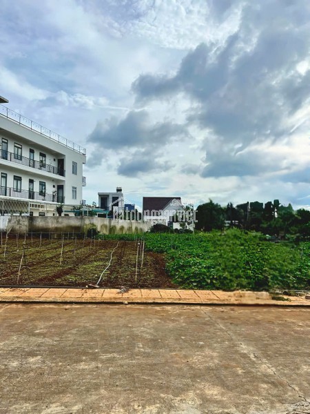 Bán 113,5m2 Đất sổ riêng - Xã hiệp Thạnh - Đức Trọng - Lâm Đồng giá 1 tỷ 390tr