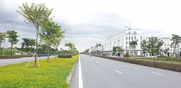 BÁN NHÀ ĐAN PHƯỢNG – NHÀ ĐAN PHƯỢNG XÂY MỚI 4 TẦNG, 56M², HƠN 5 TỶ