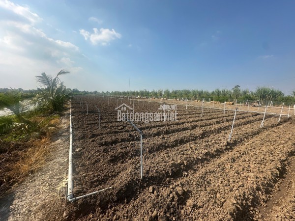 ĐẤT NỀN KDL Biển Tân Thành thích hợp đầu tư hoặc xây nghĩ dưỡng