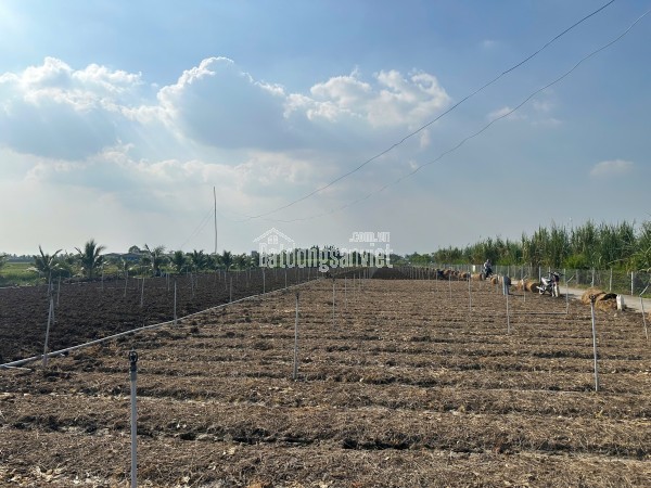 ĐẤT NỀN KDL Biển Tân Thành thích hợp đầu tư hoặc xây nghĩ dưỡng