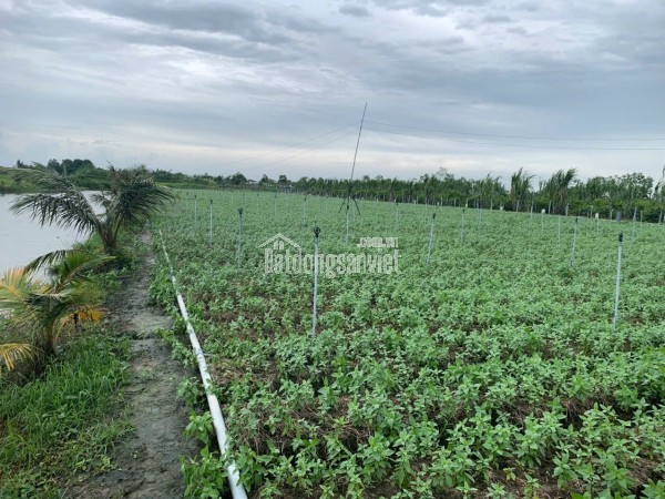 ĐẤT NỀN KDL Biển Tân Thành thích hợp đầu tư hoặc xây nghĩ dưỡng