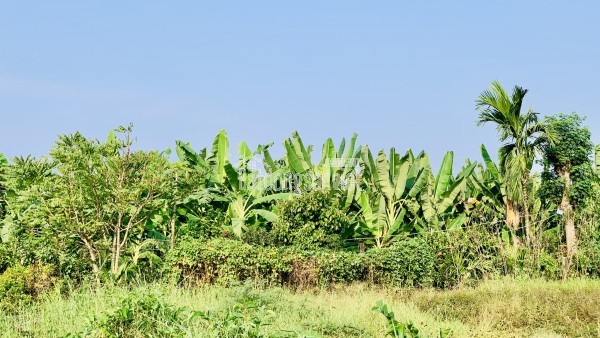 Căn hộ nhà ở xã hội quận 6 – giá chỉ từ 1,29 tỷ/căn – sở hữu lâu dài