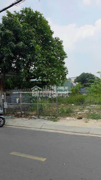 🍺 SIÊU PHẨM 10.368M² MẶT TIỀN VÕ VĂN BÍCH – BÌNH MỸ CỦ CHI – CHỈ 8TR/M² 🌹