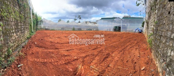 Chốt trong tháng Giêng – vừa có nhà mới, vừa có điện thoại xịn – quá đã luôn Ace ơi!