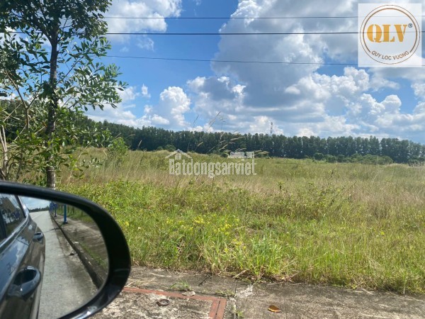 Bán đất tại Xã Lai Uyên, Huyện Bàu Bàng, Bình Dương giá 4,16 Triệu