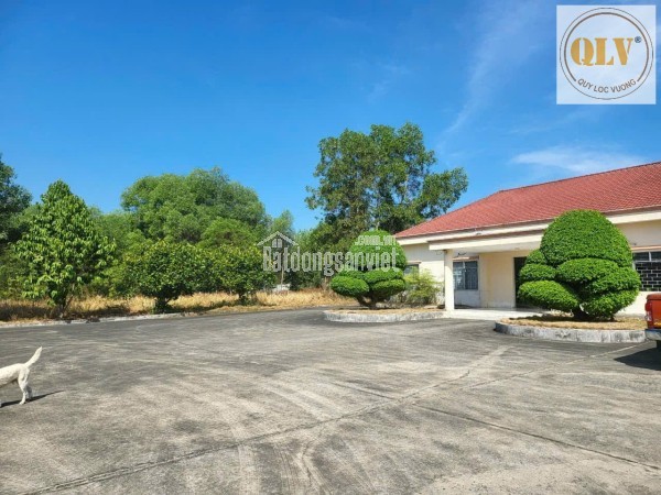 Bán kho, nhà xưởng tại Xã An Điền, Thị xã Bến Cát, Bình Dương giá 117 tỷ