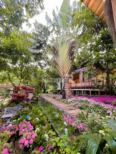 Bán nhà SRXD đường hoàng diệu phường 5 Đà Lạt ngang 6.4m giá 6.8 tỷ