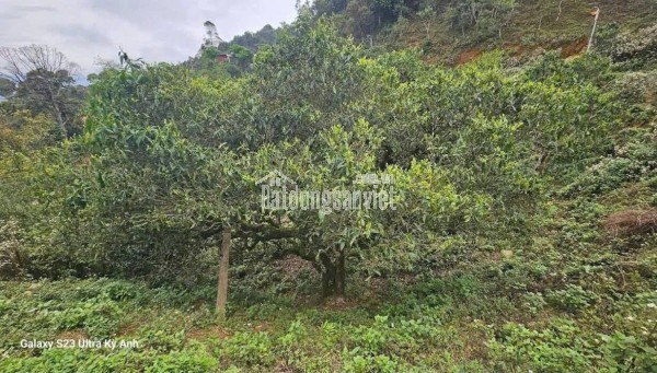 CHÍNH CHỦ CÓ NHÀ CẦN CHO THUÊ TẠI THÁI HÀ - QUẬN ĐỐNG ĐA - TP HÀ NỘI