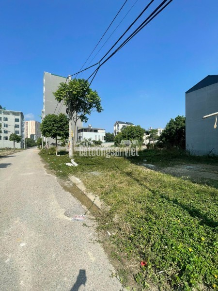 80m full thổ cư xã Xuân Mai, Chương Mỹ 1,5tỷ