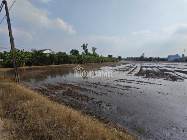 Bán lô đất thổ mặt tiền tỉnh lộ 833 giá 2 tỷ