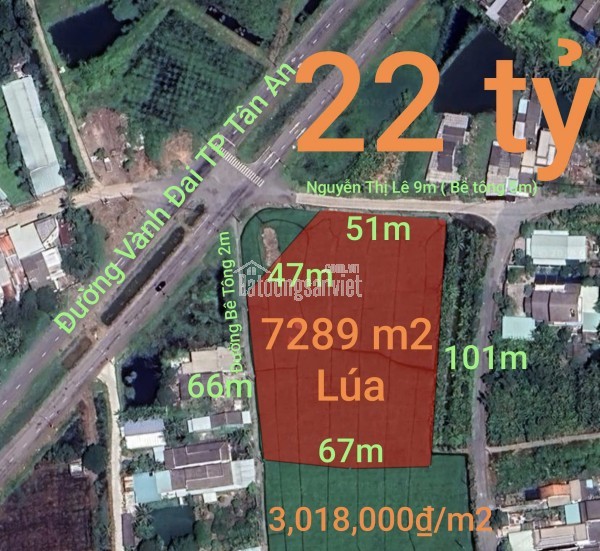 Bán lô đất thổ mặt tiền tỉnh lộ 833 giá 2 tỷ