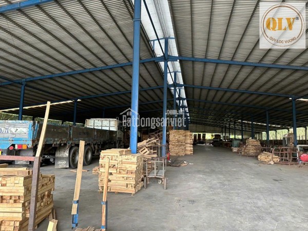 Cho thuê ĐẤT & NHÀ XƯỞNG Hớn Quản, Bình Phước 5.000m²