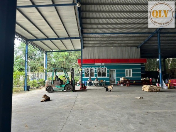 Cho thuê ĐẤT & NHÀ XƯỞNG Hớn Quản, Bình Phước 5.000m²