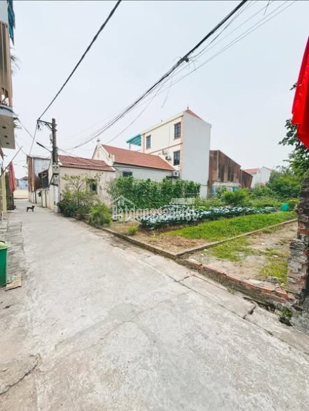 MẢNH ĐẤT 58.1M TẠI TRUNG CHÂU _ LIÊN MINH ( mới ) _ HÀ NỘI.