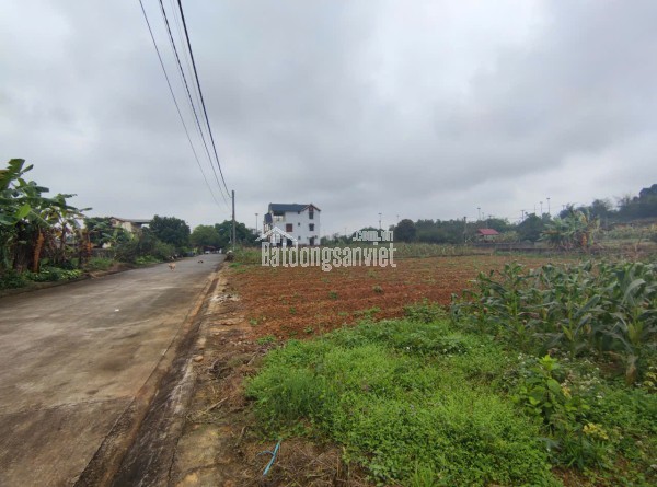 QUỸ ĐẤT ĐẸP TRUNG TÂM HÒA LẠC – SẢN PHẨM DÀNH RIÊNG CHO NHÀ ĐẦU TƯ TẦM NHÌN