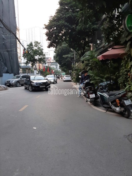 Bán nhà mặt phố Nhân Hòa, Vũ Trọng Phụng