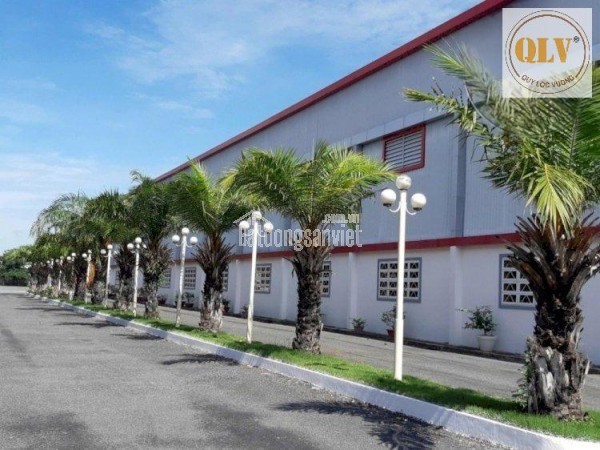 Cho thuê kho, nhà xưởng tại Xã Bình Chánh, Huyện Bình Chánh, TP HCM giá 80 Ngàn