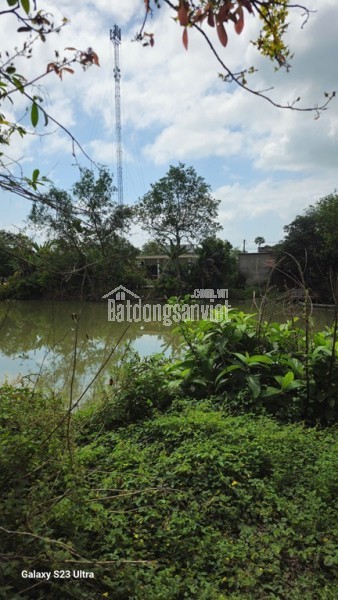 ĐẤT VỊ TRÍ ĐẸP  - GIÁ TỐT Cần bán nhanh lô đất tiềm năng tại Xã An Tây Bến Cát, Bình Dương